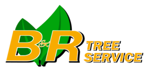 B&R Tree Service Logo green leaves with orange lettering