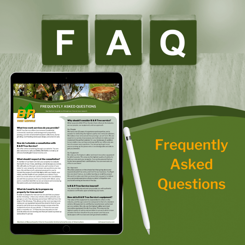 Frequently Asked Questions Resource B & R Tree Service