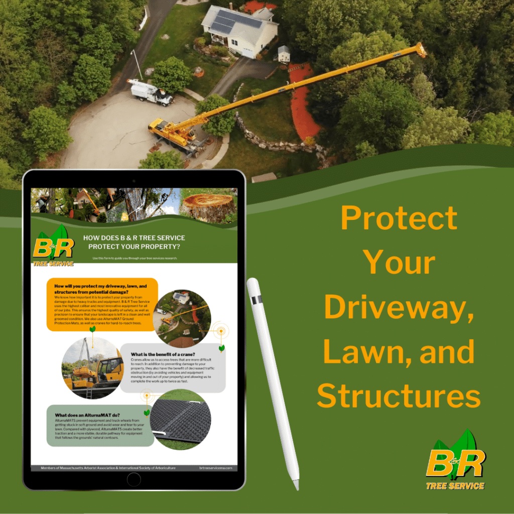 How Does B & R Tree Services Protect Your Property with Crane image of jobsite