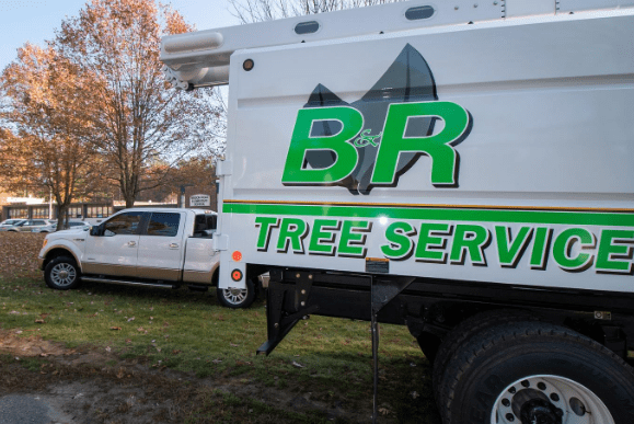 B&R Tree Service bucket truck on jobsite