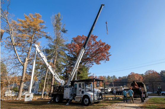 B&R tree service crane. tree removal