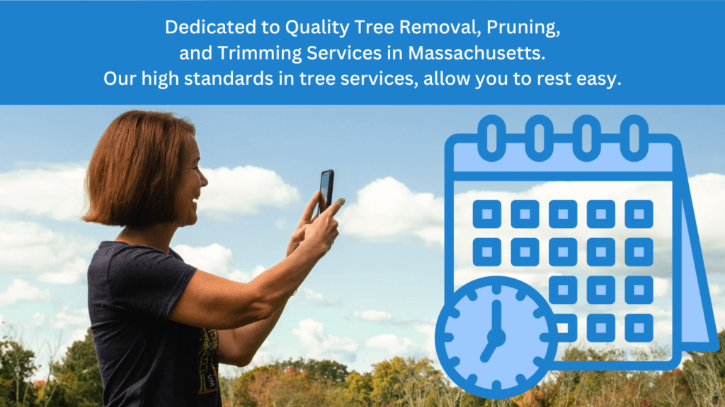Dedicated to Quality Tree Removal, Pruning, and Trimming Services in Massachusetts. Our high standards in tree services, allow you to rest easy