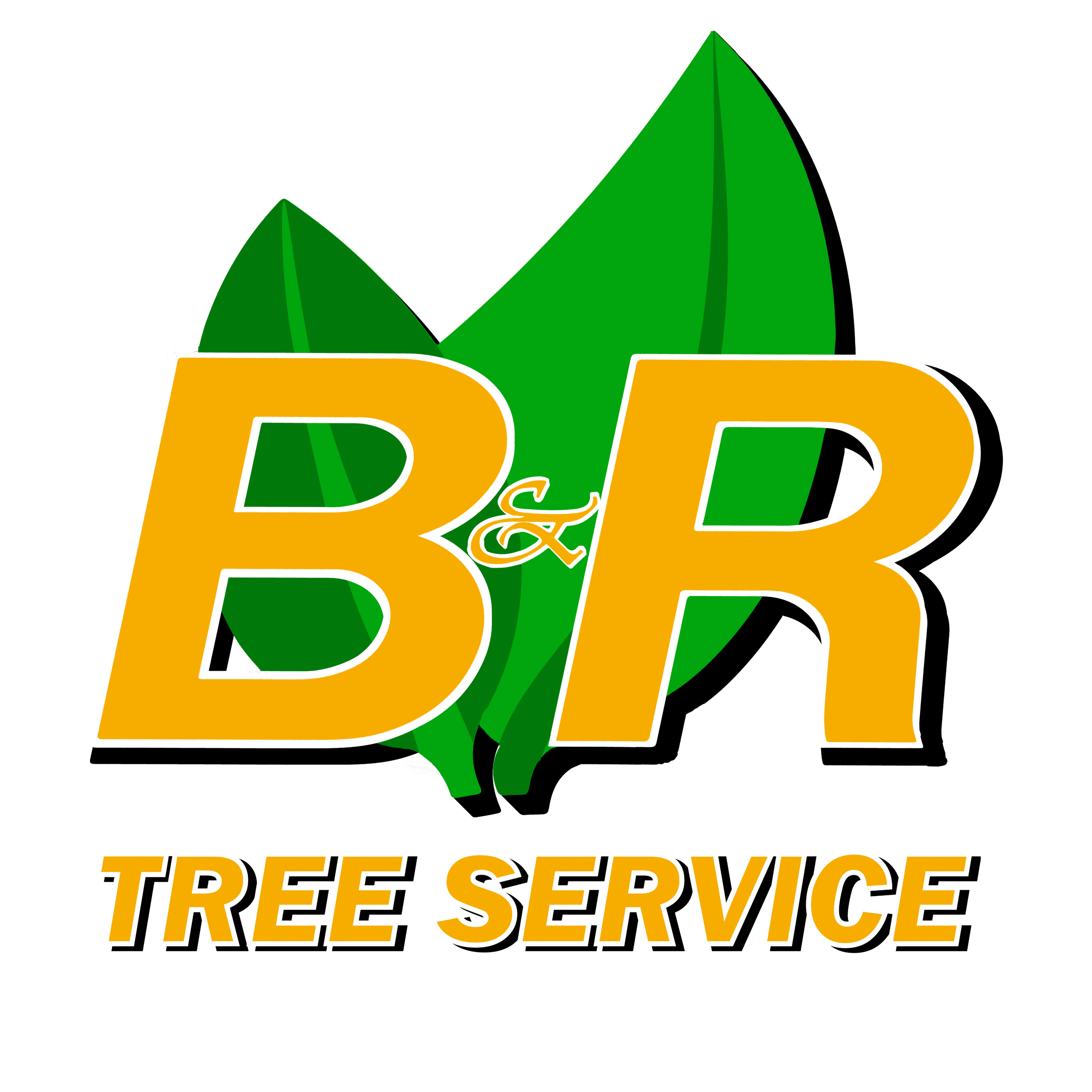 Tree Service in Charlton MA | B&R Tree Services