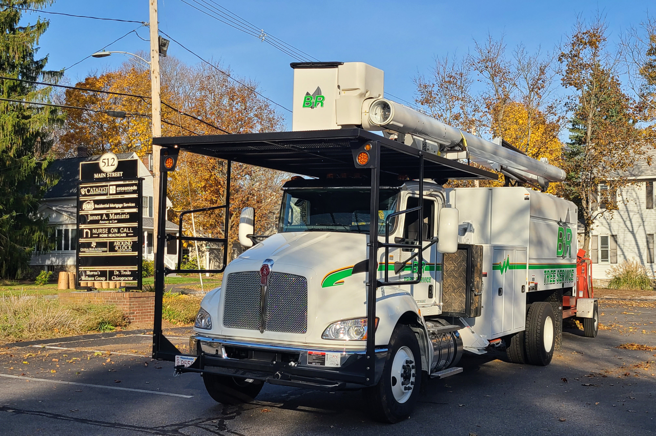 Tree Service in Charlton MA | B&R Tree Services